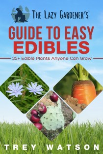 thelazygardener2